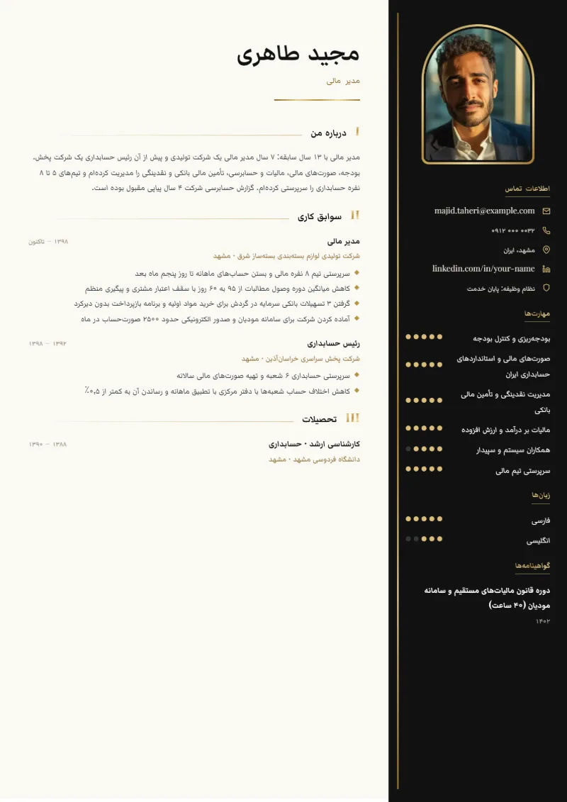 نمونه رزومه مدیر مالی در قالب پرستیژ