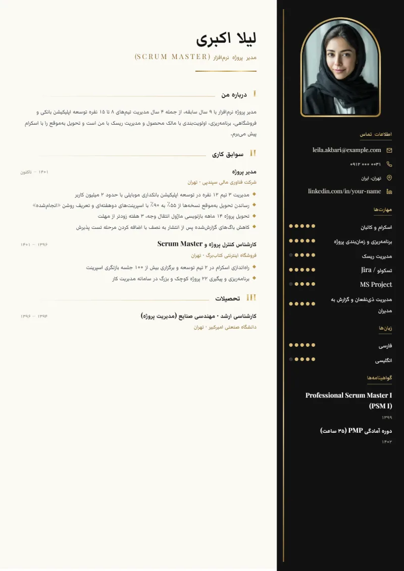 نمونه رزومه مدیر پروژه — قالب پرستیژ