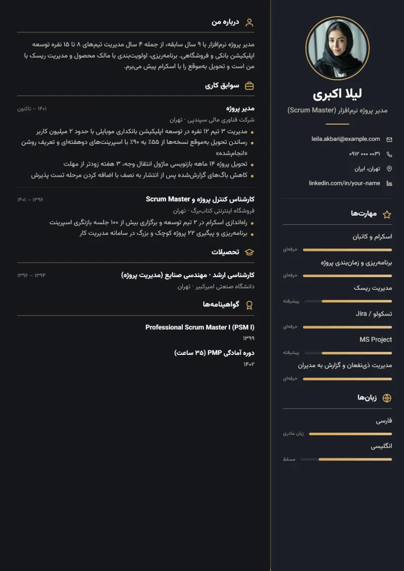 نمونه رزومه مدیر پروژه — قالب ستون تیره