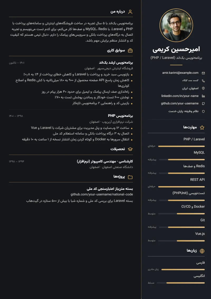 نمونه رزومه برنامه‌نویس — قالب ستون تیره