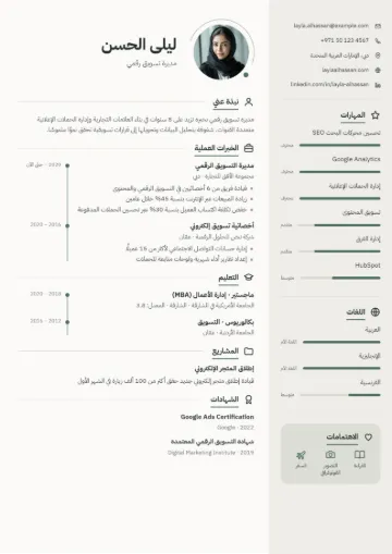 نموذج سيرة ذاتية بقالب بسيط