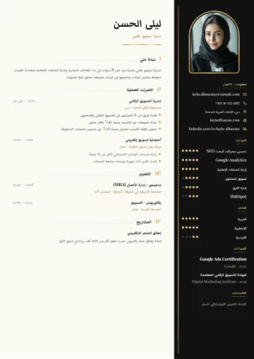 نموذج سيرة ذاتية بقالب الفخامة