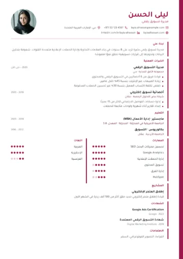 نموذج سيرة ذاتية بقالب شريطي
