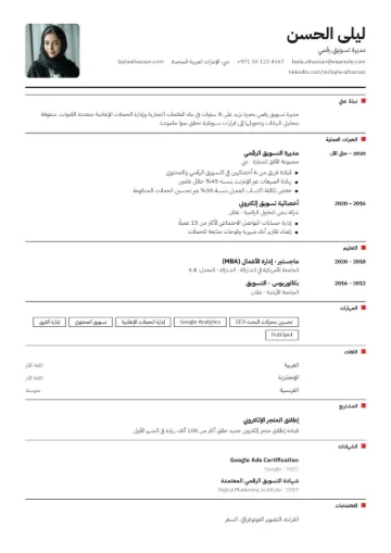 نموذج سيرة ذاتية بقالب سويسري