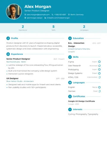 Sample resume in the Infographic template