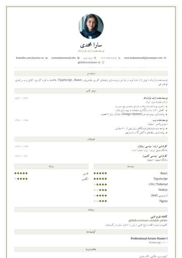 نمونه رزومه با قالب قاب‌دار