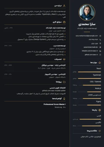 نمونه رزومه با قالب ستون تیره